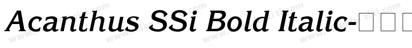 Acanthus SSi Bold Italic字体转换